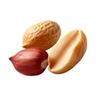 Three types of peanuts. png