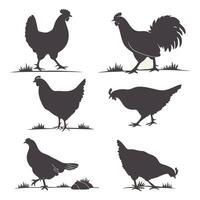Chicken Silhouette Set vector