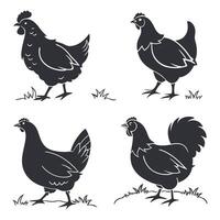 Chickens silhouettes Set vector