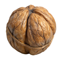 Single Whole Walnut Shell, Close-Up Studio Shot png
