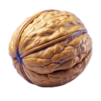 Single Whole Walnut in Shell, Close-Up Macro Shot png