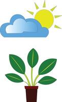 A plant and a cloud with a sun in the sky vector