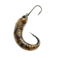 Realistic Worm Bait Attached to a Sharp Hook png