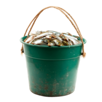 Compact 3D fishing bucket with a secure sealing lid png