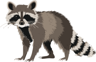 Adorable raccoon illustration perfect for kids books nature websites or animal themed projects Use it to add a touch of wilderness png