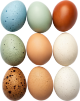 vibrante sortimento do colorida e naturalmente salpicado ovos arranjado dentro uma estúdio configuração png
