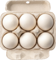 Half Dozen of Fresh White Eggs Sitting in a Cardboard Egg Carton png