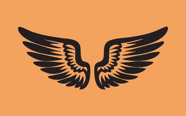 Wing Element Graphic and Design Use