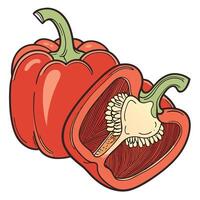 Red pepper with cut open and half cut vector