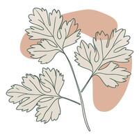 A drawing of a leaf with leaves on it vector