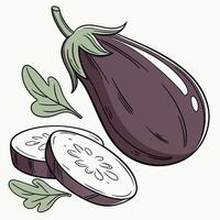 An eggplant and a slice of it are shown vector