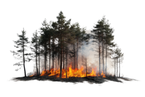 Aerial image forest fire action in dry environment png