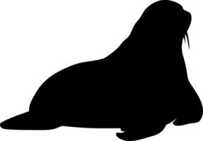 Walrus Silhouette Design of Marine Animal in Black Isolated Style vector