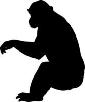 Chimpanzee Silhouette Sitting in a Minimalist Style vector