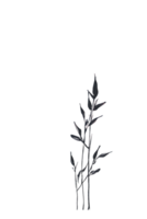 Dark Pointed Leaves on a Transparent Background png
