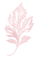 Delicate Pink Leaf with Intricate Details on Transparent Background png