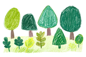 Green Trees and Plants Childlike Drawing png