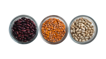 Overhead View of Three Bowls of Beans Red Kidney Beans, Lentils, and White Beans png