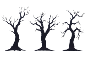 Three Bare Dark Trees on a Transparent Background png