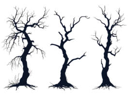 Three Dark Leafless Trees on a Transparent Background png