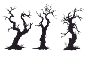 Three Glowing Gnarled Trees on Transparent Background png