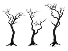 Three Silhouetted Trees on Transparent Background png