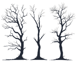 Three Leafless Tree Silhouettes Against a Transparent Background png