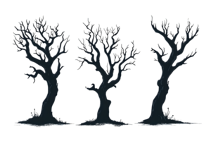 3 Silhouetted Bare Trees on Transparent Background png