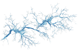 Abstract Blue and White Branching Network on Transparent Background png