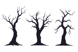 Three Dark Bare Trees with Sparkling Lights on Transparent Background png