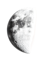 niveaux de gris moitié lune image avec visible cratères sur transparent Contexte png