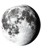 niveaux de gris moitié lune détaillé surface texture sur transparent Contexte png