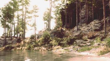 A body of water surrounded by trees and rocks video