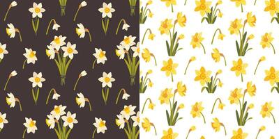 Seamless pattern with daffodils on white and dark background. Spring flower narcissus. Pattern set. fabric swatch vector