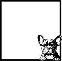 black silhouette of a dog or French bulldog in a black square frame without background vector