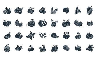 Fruits set . Fruits pack symbol elements for infographic web vector