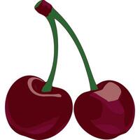 Two glossy cherry berries in deep cherry red with green stems vector