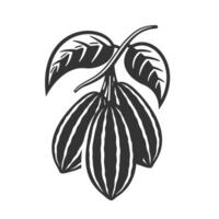 Cocoa pod silhouette isolated on white vector