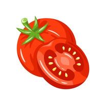 Tomato isolated on white background vector