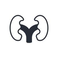 Kidney icon. Editable stroke.linear style sign for use web design,logo.Symbol illustration. vector