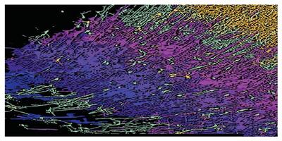 Abstract background, multi color illustration for background design. vector