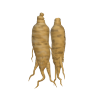 3d illustration of ginseng root with transparent background. Suitable for use as advertising media in the culinary, food and beverage fields png