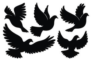 Bird dove silhouettes set isolated flat illustration on white background vector