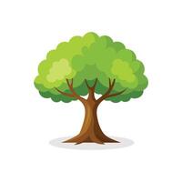 Ash tree isolated flat illustration on white background. vector