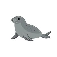 Elephant Seal water animal isolated flat illustration on white background vector