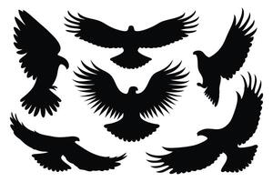 Eagle birds silhouettes set isolated flat illustration on white background vector