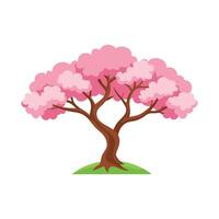 Prunus tree isolated flat illustration on white background. vector