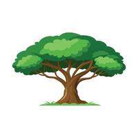 Banyan tree isolated flat illustration on white vector