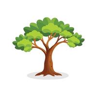 Fig tree isolated flat illustration on white background vector