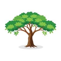 Neem tree isolated flat illustration on white background vector